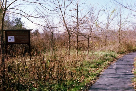 pecan-basin