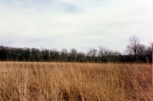 Weiler - Leopold Meadow