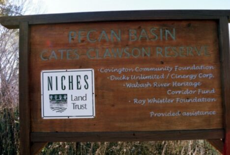 pecan-basin2